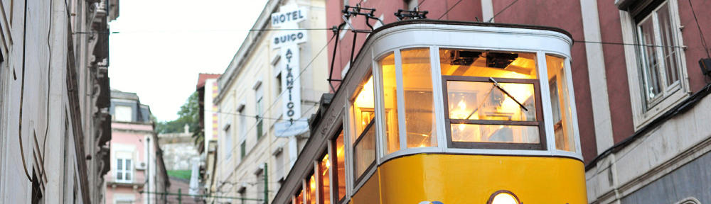 Education Madness
